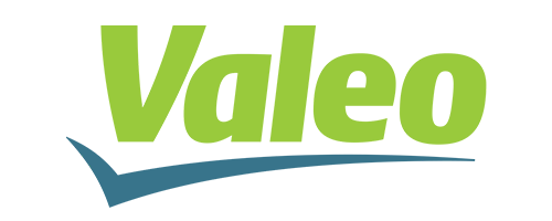 VSLEO
